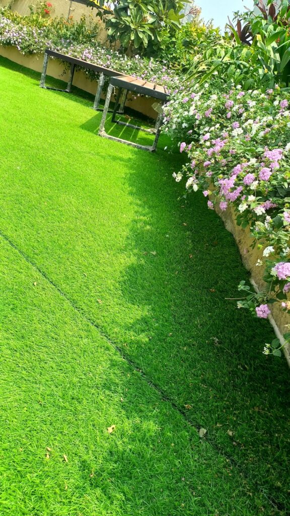 WhatsApp Image 2024-07-02 at 6.45.18 PM Baria's Ecogardens