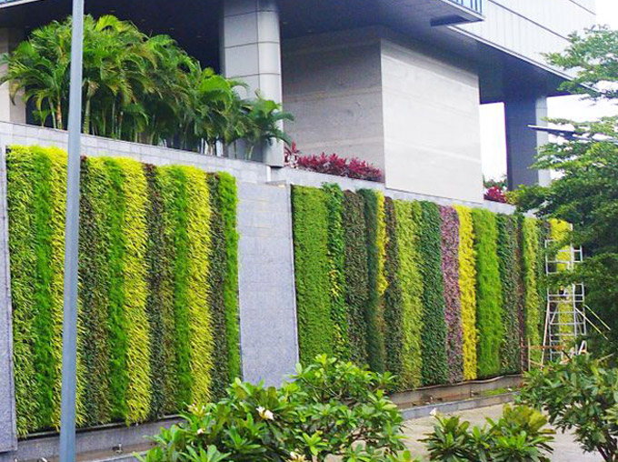 greenwall-capgemini
