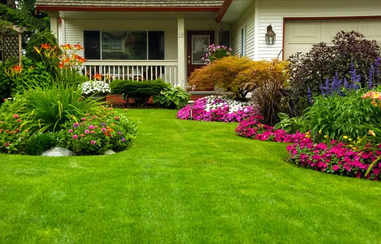 EcoNature By Baria_Garden Design & Planting